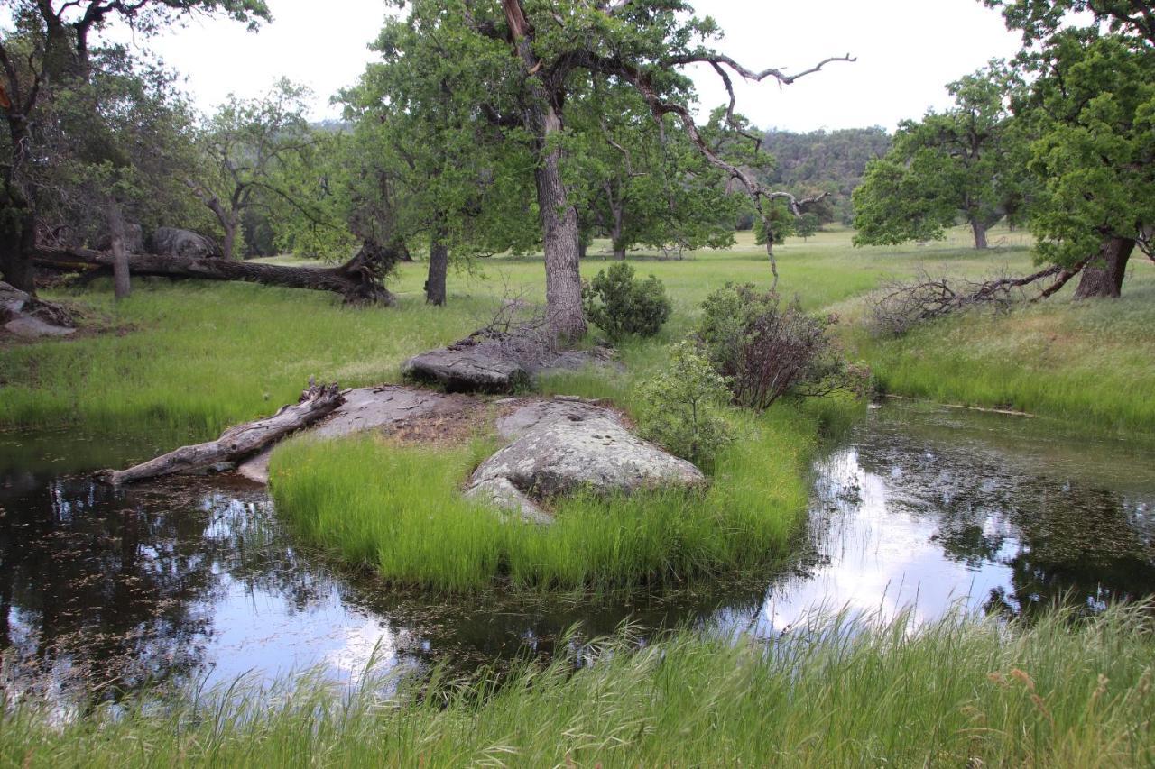 הוילה Casa Mariposa - A Foothill Retreat Near Yosemite מראה חיצוני תמונה